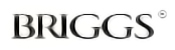 Briggs Parts Logo