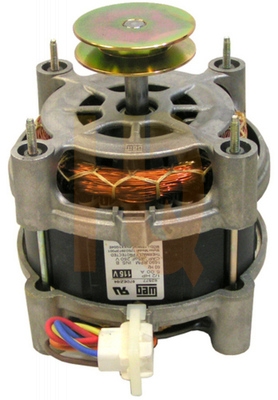 Image of WG04F03655