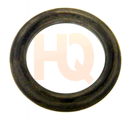 Image of WP351830