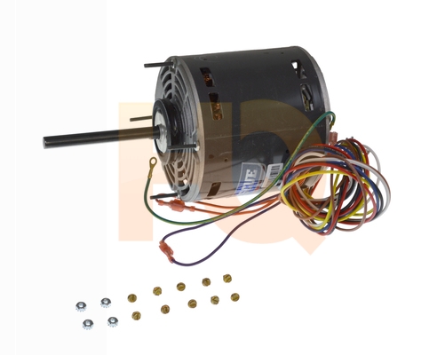 Image of 5461